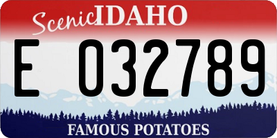 ID license plate E032789