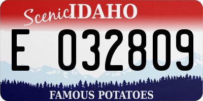 ID license plate E032809