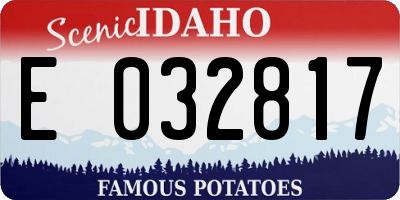 ID license plate E032817