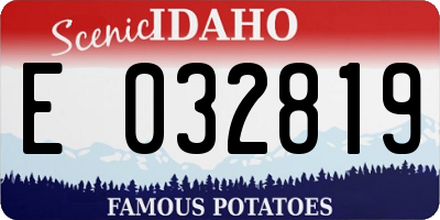 ID license plate E032819