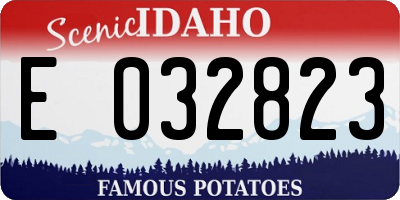 ID license plate E032823