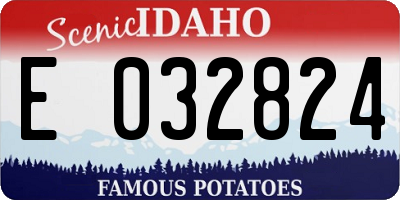 ID license plate E032824