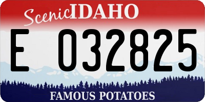 ID license plate E032825