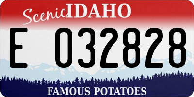 ID license plate E032828