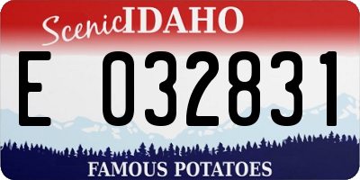 ID license plate E032831