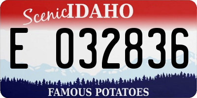 ID license plate E032836