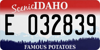 ID license plate E032839