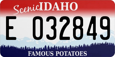 ID license plate E032849
