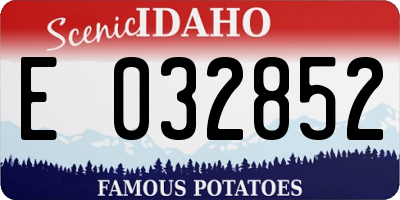 ID license plate E032852