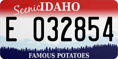 ID license plate E032854