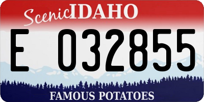 ID license plate E032855
