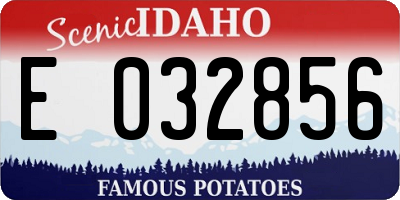ID license plate E032856