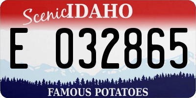 ID license plate E032865