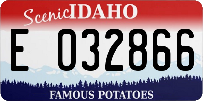 ID license plate E032866