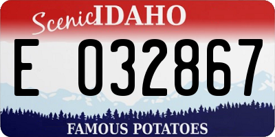 ID license plate E032867