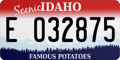 ID license plate E032875