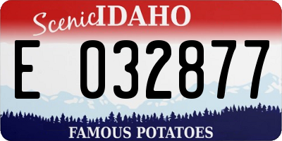ID license plate E032877
