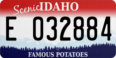 ID license plate E032884