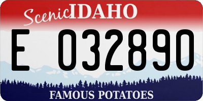 ID license plate E032890