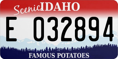 ID license plate E032894