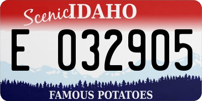 ID license plate E032905