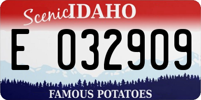ID license plate E032909