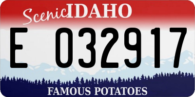 ID license plate E032917