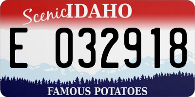 ID license plate E032918