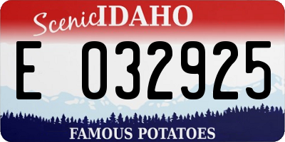 ID license plate E032925