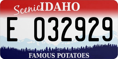ID license plate E032929