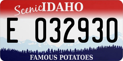 ID license plate E032930