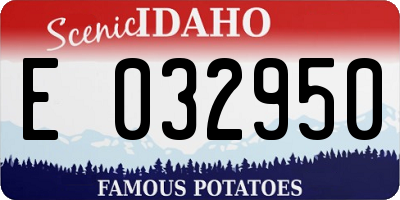 ID license plate E032950