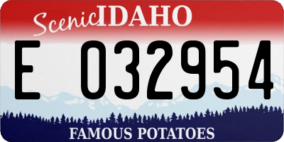 ID license plate E032954