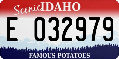 ID license plate E032979