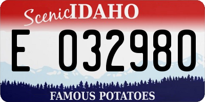ID license plate E032980