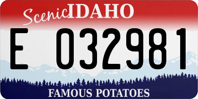 ID license plate E032981
