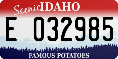 ID license plate E032985