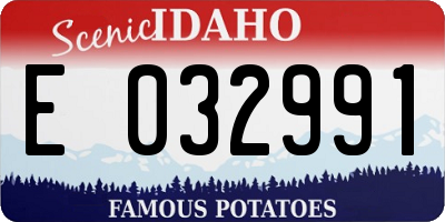 ID license plate E032991