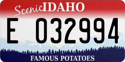 ID license plate E032994