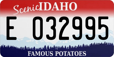 ID license plate E032995