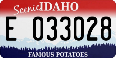 ID license plate E033028