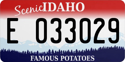 ID license plate E033029