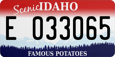 ID license plate E033065