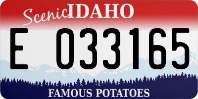 ID license plate E033165