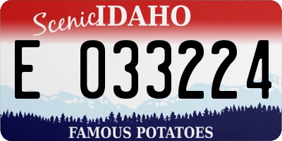 ID license plate E033224