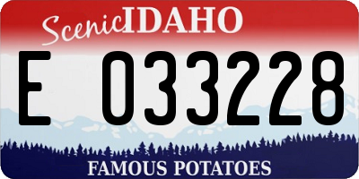 ID license plate E033228