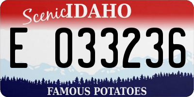 ID license plate E033236