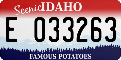 ID license plate E033263