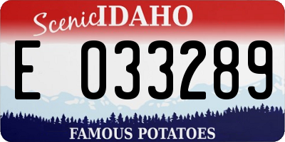 ID license plate E033289