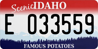 ID license plate E033559